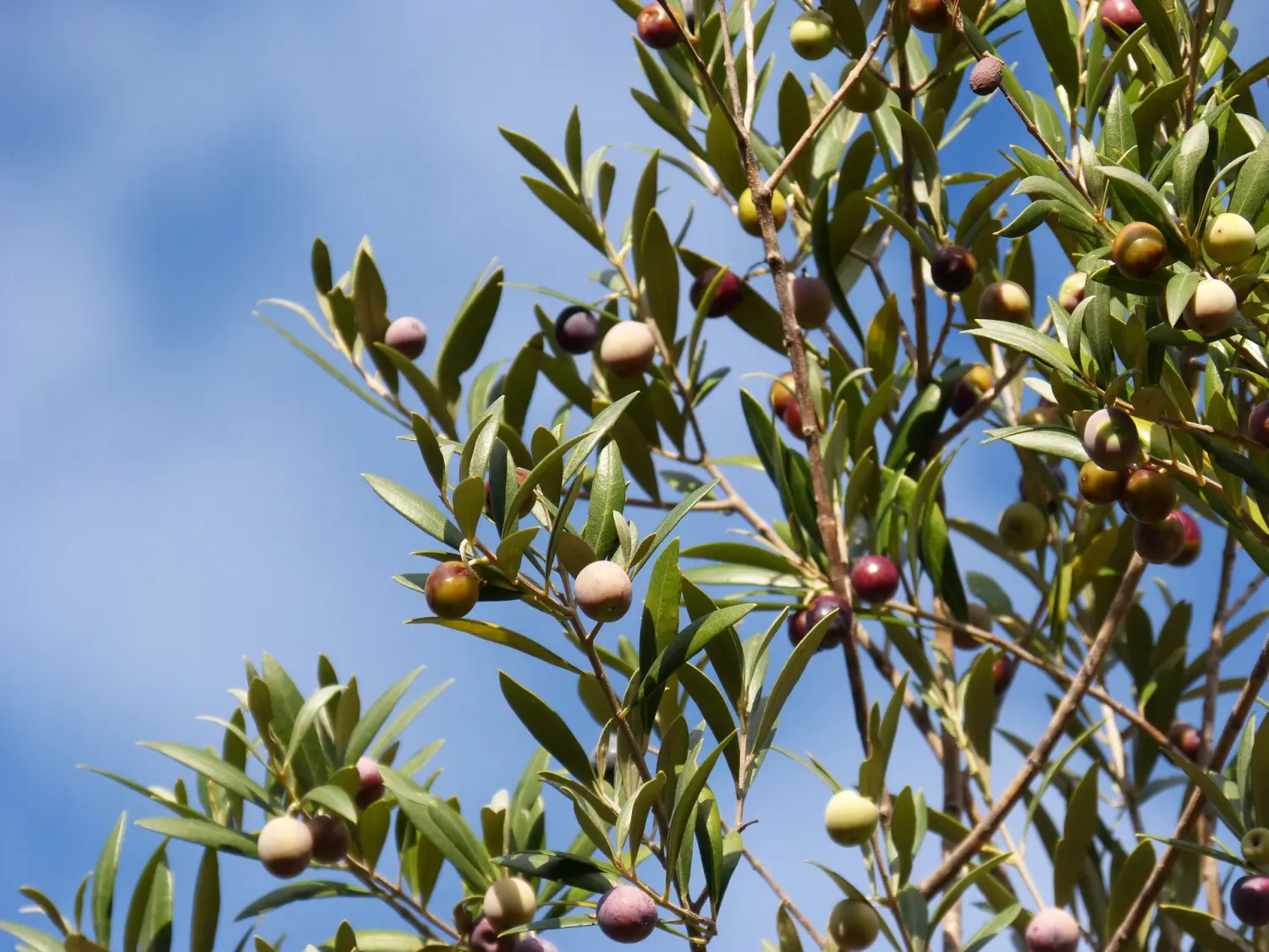 Uitzicht op de natuur von Praxis Dr Baraz