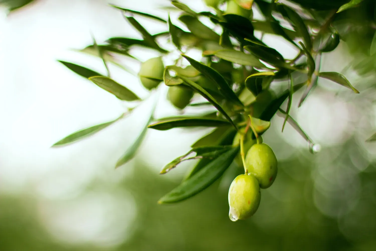 Uitzicht op de natuur von Praxis Dr Baraz